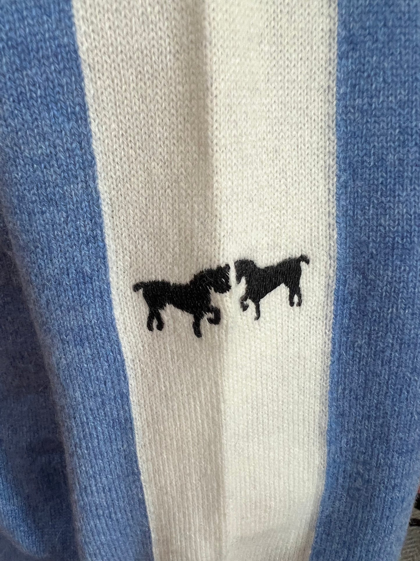 Trace V Neck Cashmere Sweater in Blue