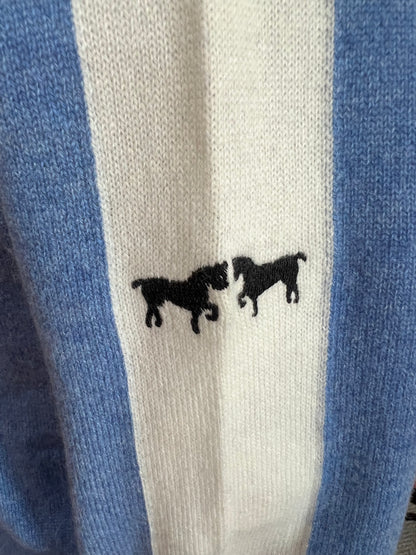 Trace V Neck Cashmere Sweater in Blue